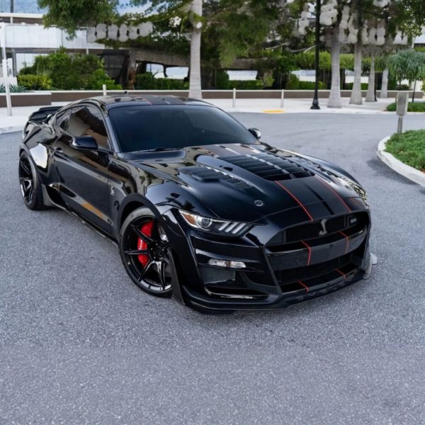 aluminum-hood-1-1-gt500kr-style-mustang-15-17-v6-gt-ecoboost