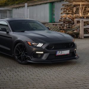 Aluminum Hood - OE style (MUSTANG 15-17 GT, Ecoboost, V6)