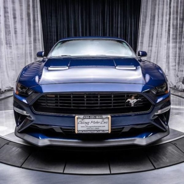 california-special-upper-grille-mustang-18-23-gt-ecoboost