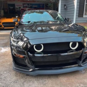 LED HALO Lights for the GT500-styled Front Bumper - Set (MUSTANG 15-23)